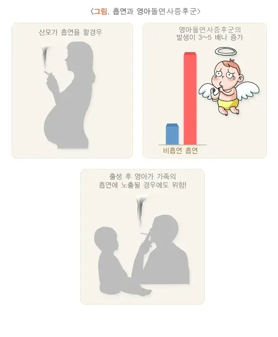 영아돌연사증후군 위험요인 및 예방 설명 이미지 2