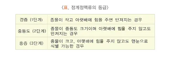정계정맥류 진단 및 검사 설명 이미지 1