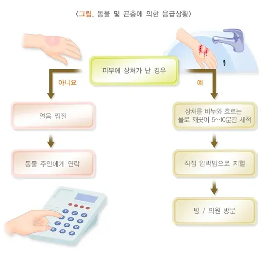 동물 및 곤충에 의한 응급상황 예방 및 대처 설명 이미지 1