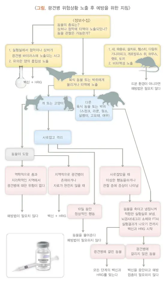 동물 및 곤충에 의한 응급상황 예방 및 대처 설명 이미지 4