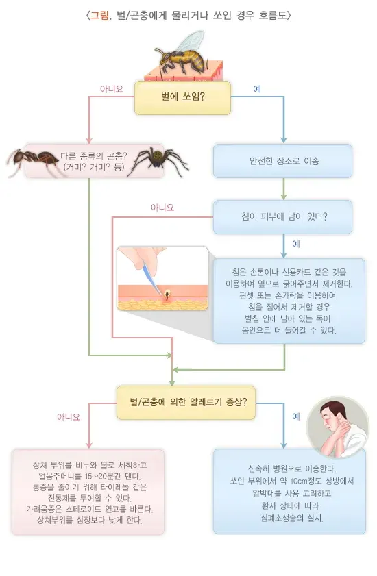 동물 및 곤충에 의한 응급상황 예방 및 대처 설명 이미지 5