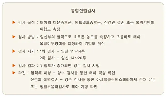 삼중 또는 사중 표지자 검사(Triple 또는 Quad test)와 통합선별검사 (Integrated test) 검사 항목 설명 이미지 2