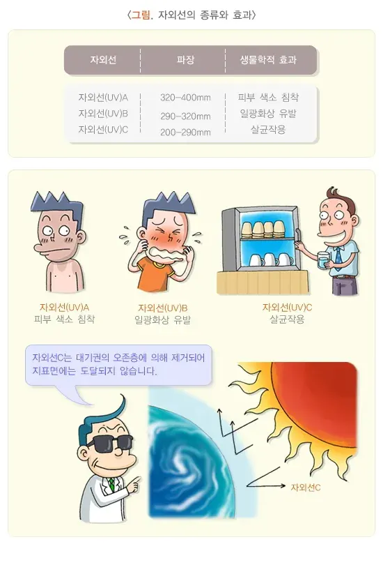 일광화상 원인 설명 이미지 1