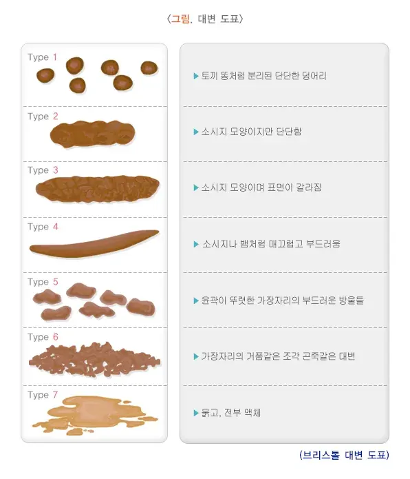 야뇨증(소아) 원인 설명 이미지 3