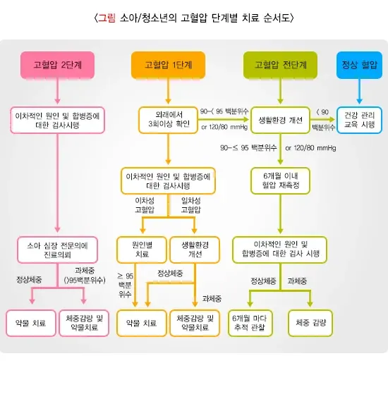 소아청소년기고혈압 치료 설명 이미지 1