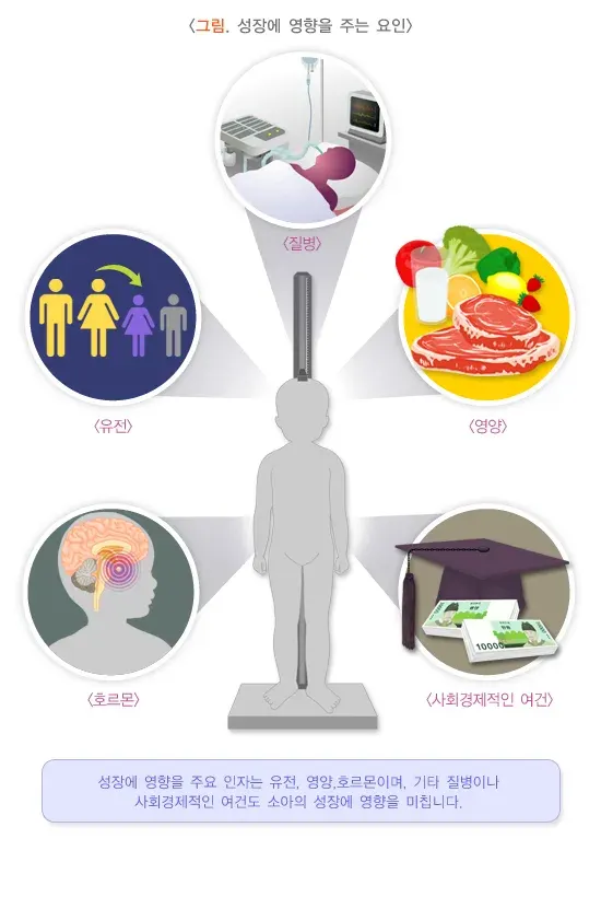 정상소아의 성장(성장) 종류 설명 이미지 3