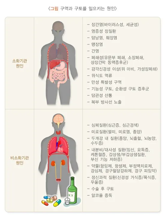 구역질과 구토 원인 설명 이미지 1