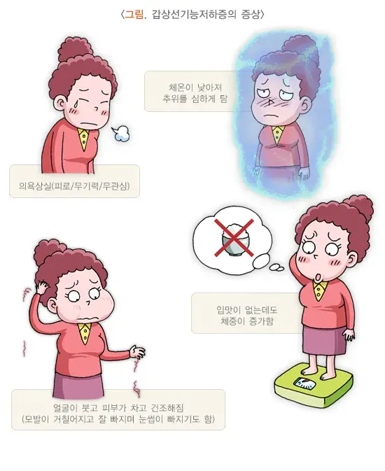 갑상선기능저하증 증상 설명 이미지 1