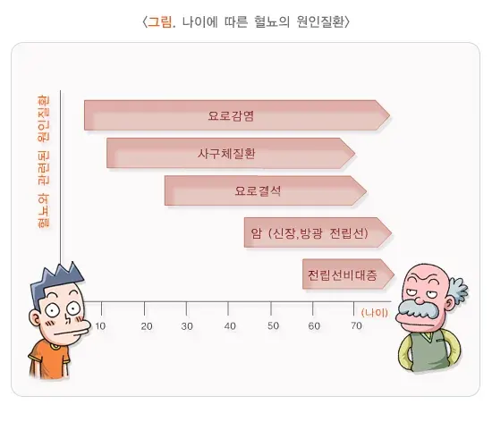 소변이상(혈뇨) 원인 설명 이미지 2