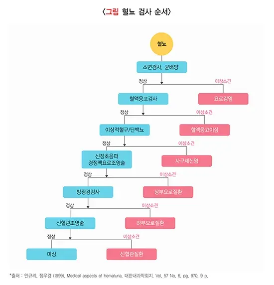 소변이상(혈뇨) 진단 및 검사 설명 이미지 1