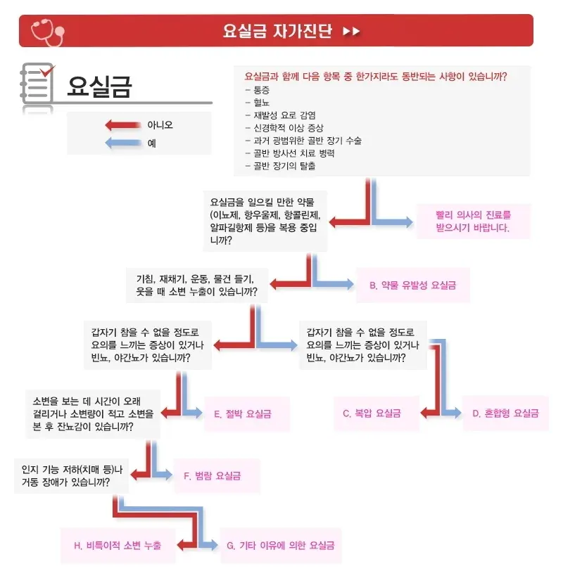 요실금 진단 및 검사 설명 이미지 3