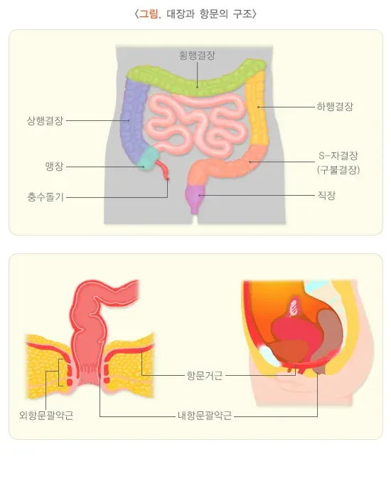 변비 원인 설명 이미지 1
