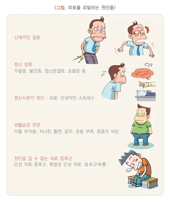 만성피로증후군 원인 설명 이미지 1