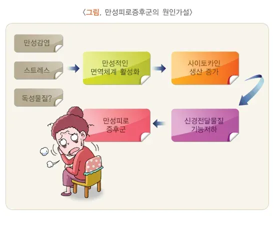 만성피로증후군 원인 설명 이미지 2