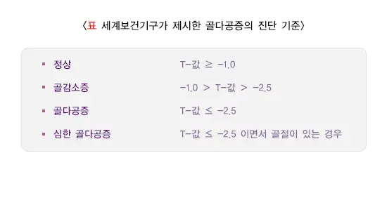 골다공증 진단 및 검사 설명 이미지 3