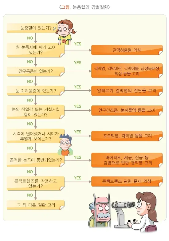 눈 충혈 원인 설명 이미지 1