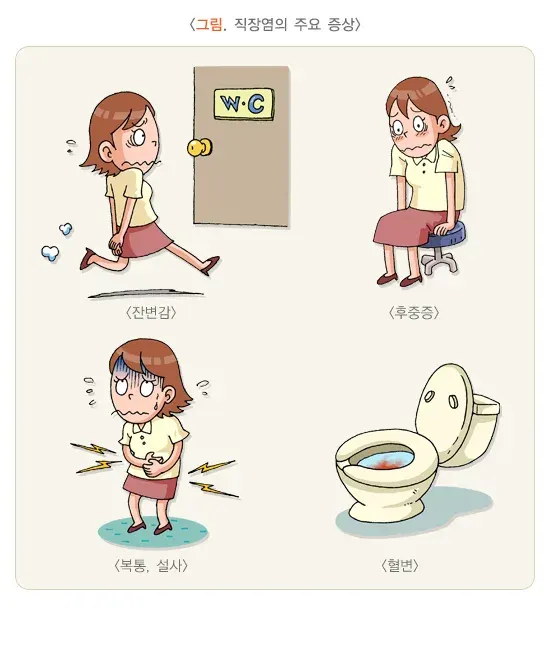 직장염 증상 설명 이미지 1