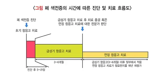 폐 색전증 치료 설명 이미지 1