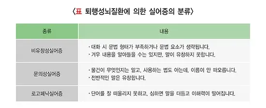 실어증 종류 설명 이미지 2