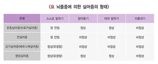 실어증 종류 설명 이미지 1