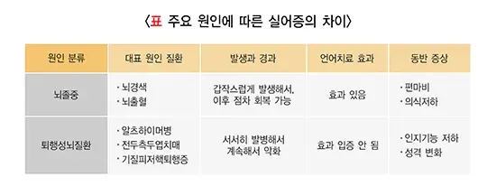 실어증 원인 설명 이미지 1
