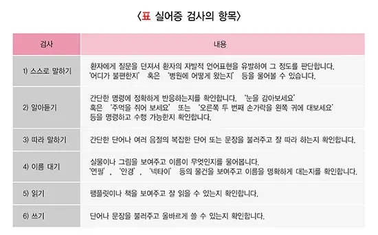 실어증 진단 및 검사 설명 이미지 1