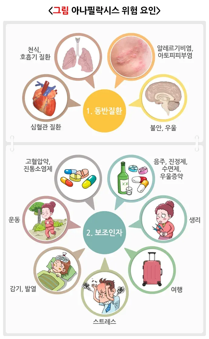 아나필락시스 관련 질환 설명 이미지 1