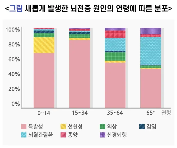 뇌전증 원인 설명 이미지 1