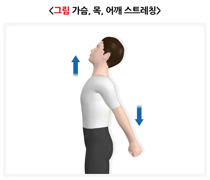 일자목(거북목)증후군 비약물 치료 설명 이미지 3