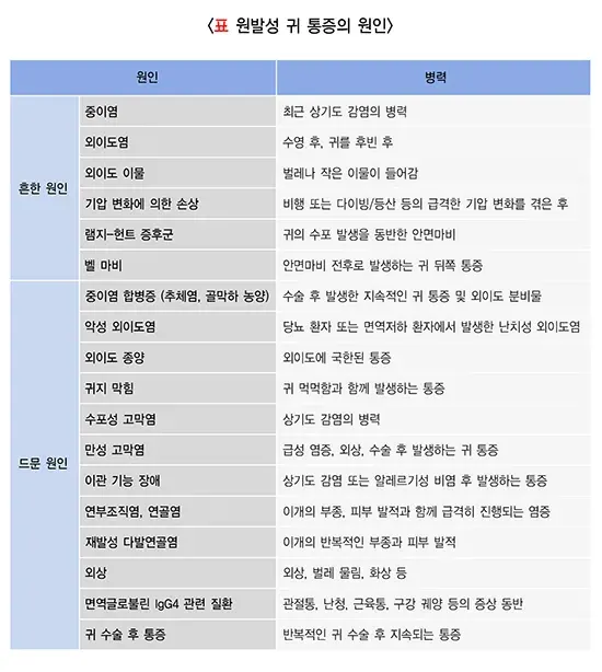 귀의 통증 및 분비물 원인 설명 이미지 1