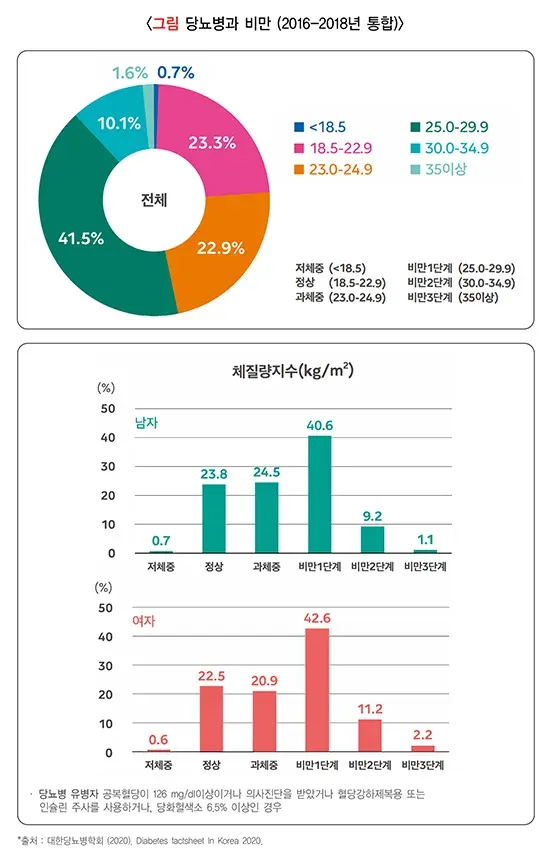 당뇨병 역학 및 통계 설명 이미지 6