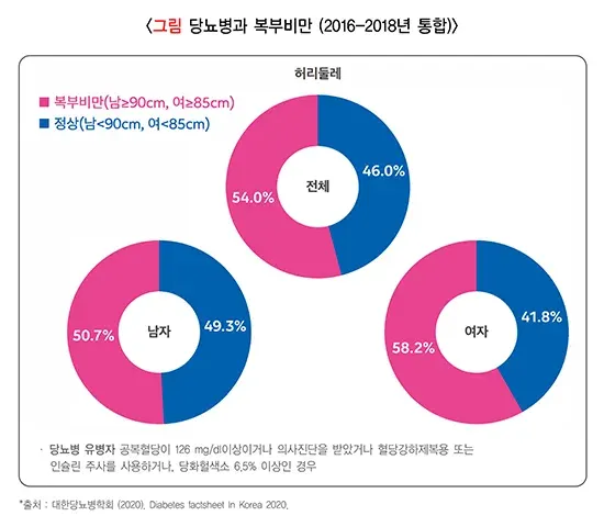 당뇨병 역학 및 통계 설명 이미지 7