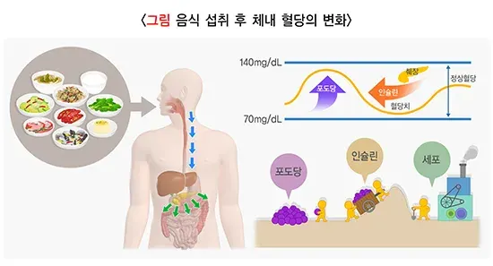 당뇨병 정의 설명 이미지 1