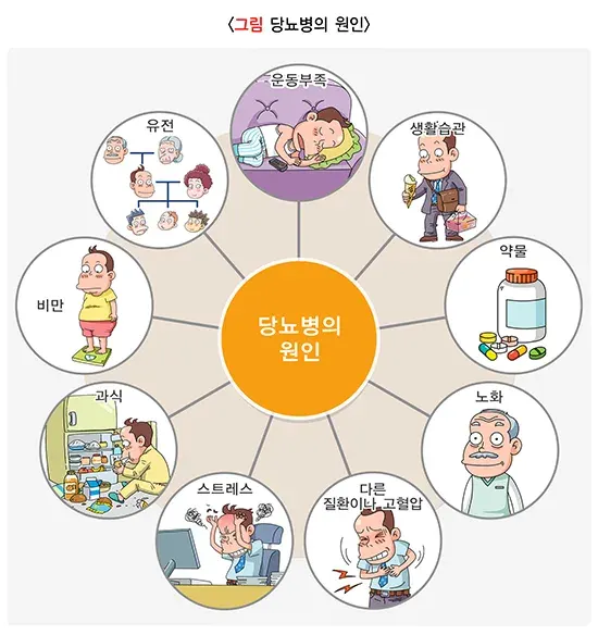 당뇨병 원인 설명 이미지 1