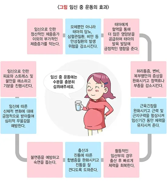 운동 맞춤형 실천 방법 설명 이미지 1