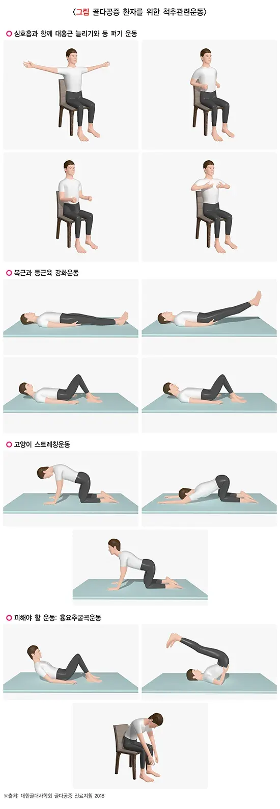 운동 맞춤형 실천 방법 설명 이미지 4