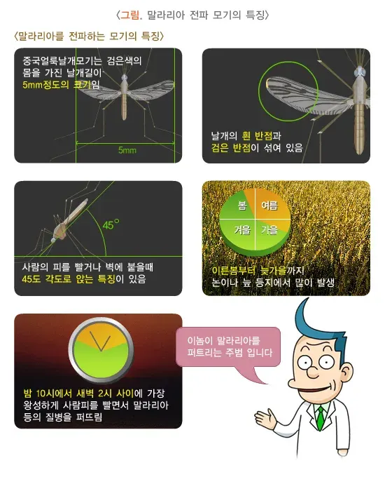 말라리아 병태생리 설명 이미지 1