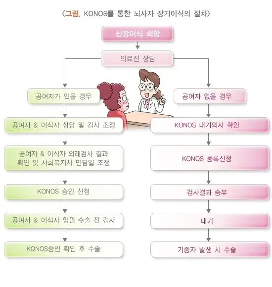 신장 이식 치료 관련 검사 설명 이미지 1