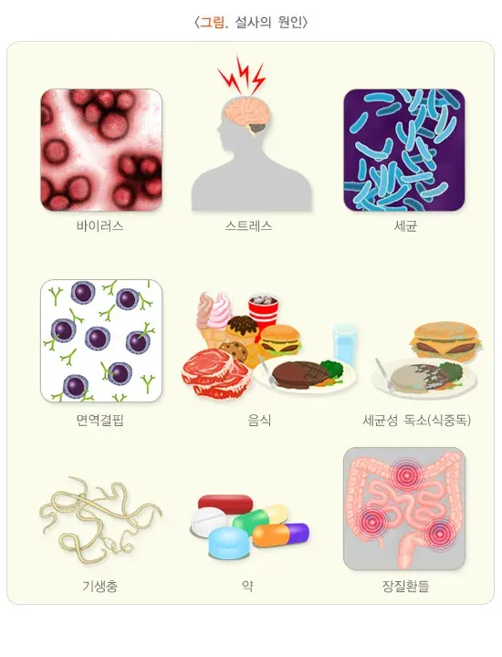 설사 원인 설명 이미지 1