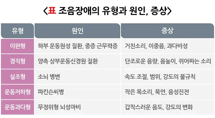 언어장애(성인 언어 및 말장애의 진단과 치료) 종류 설명 이미지 1