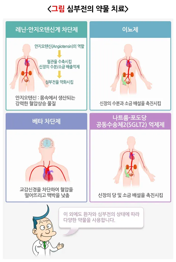 심부전 약물 치료 설명 이미지 1