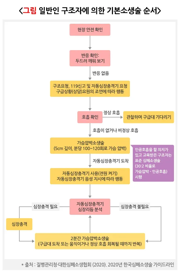 심폐소생술 치료 방법 설명 이미지 5