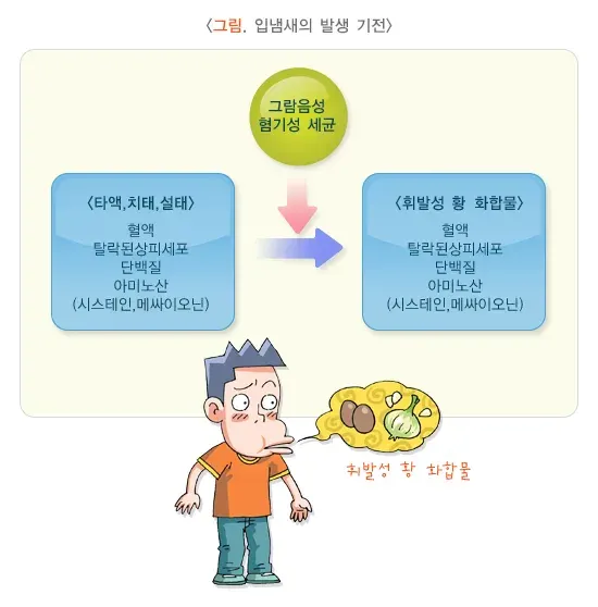 입냄새 원인 설명 이미지 1