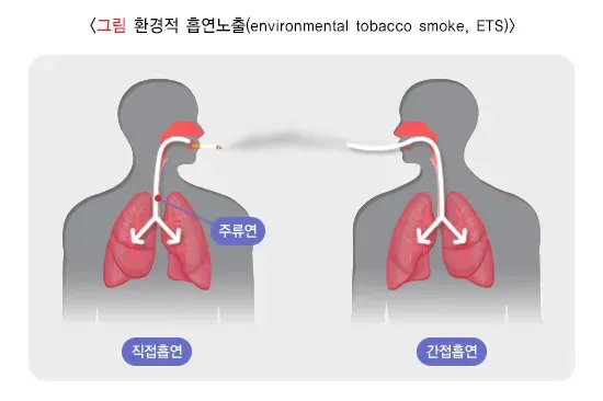 간접흡연 발생원/원인 설명 이미지 1