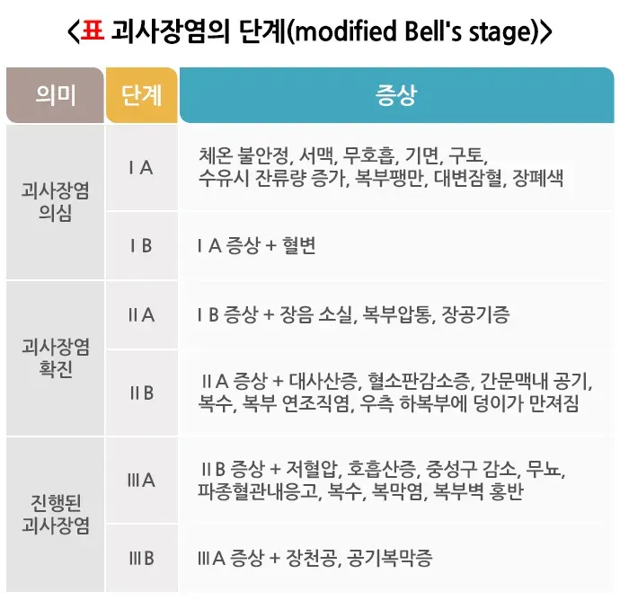 미숙아 합병증 설명 이미지 5