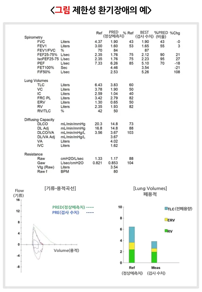 폐기능검사 검사 결과 해석 설명 이미지 4