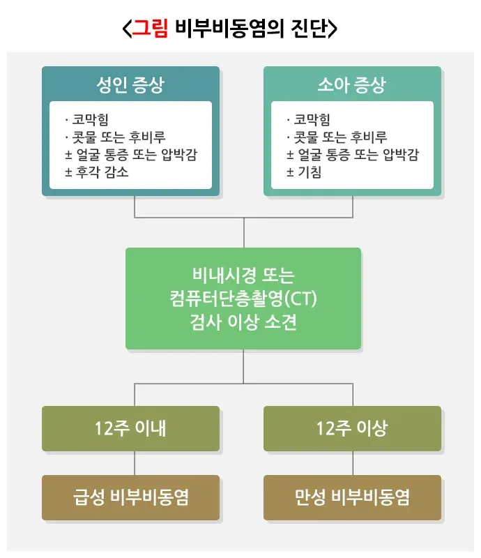 비부비동염 진단 및 검사 설명 이미지 1