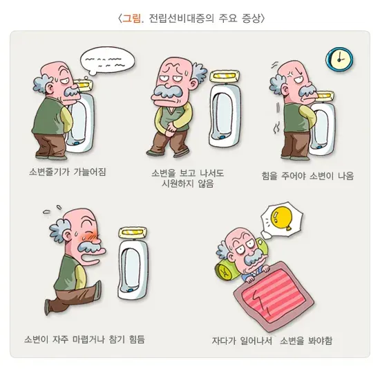 전립선비대증 증상 설명 이미지 1