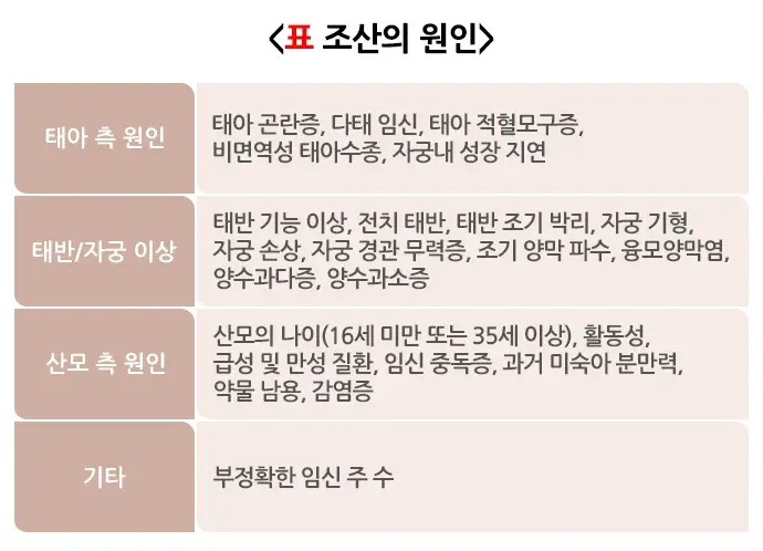 미숙아 원인 설명 이미지 1