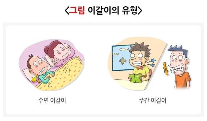 이갈이 종류 설명 이미지 1